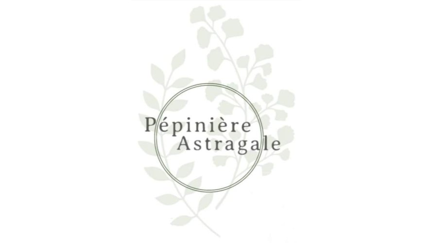 fb img 1682805092726