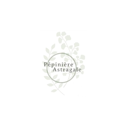 Pépinière Astragale : plantes et semences d'origine sauvage, produites et vendues en Essonne