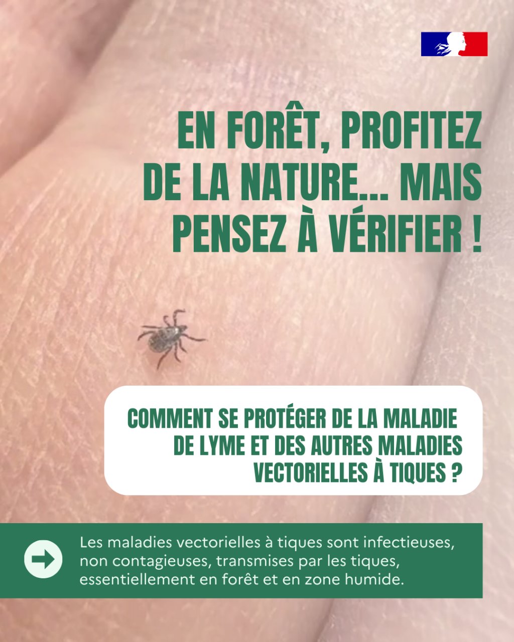 Promenades en plein air&nbsp;: les bons gestes pour éviter les tiques