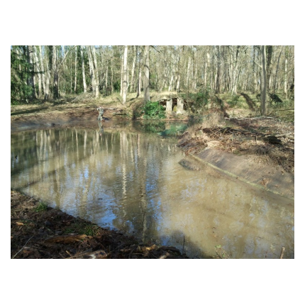 Plan de relance pour la biodiversité au Parc du Gatinais