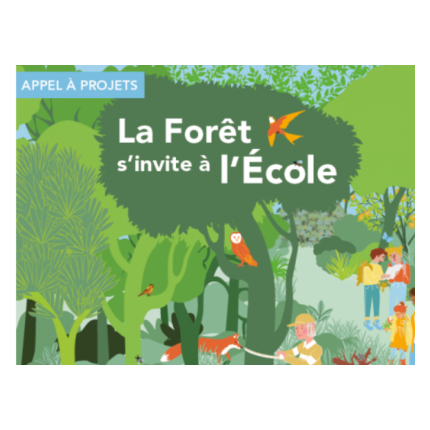 La forêt s'invite à l'école