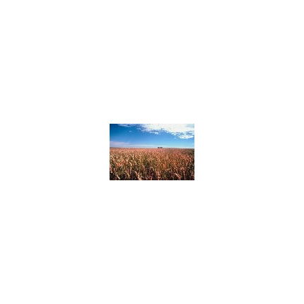  Semaine « Agricultures & Paysages » 15-16-17 Mai 2009 