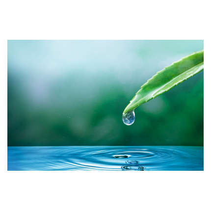Eau