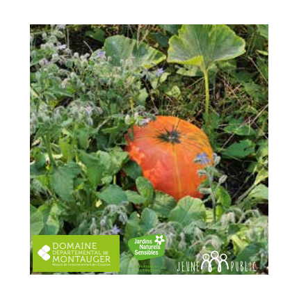 Les Jardins Naturels Sensibles en Essonne