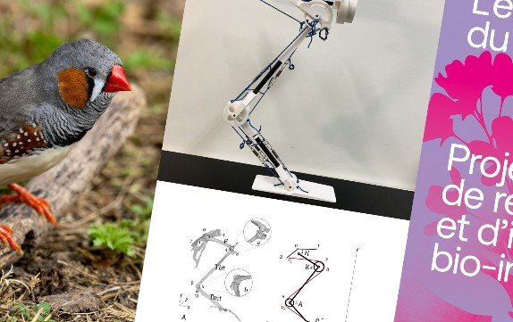 Exposition «&nbsp;L’énergie du Vivant&nbsp;»&nbsp;: quand le biomimétisme inspire la transition énergétique