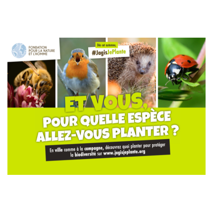 « J'agis, je plante », une formation gratuite avec la Fondation de la Nature et l'Homme