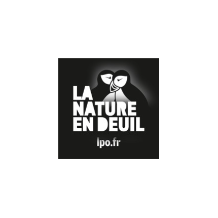 "Le mieux à faire est de ne rien faire !"