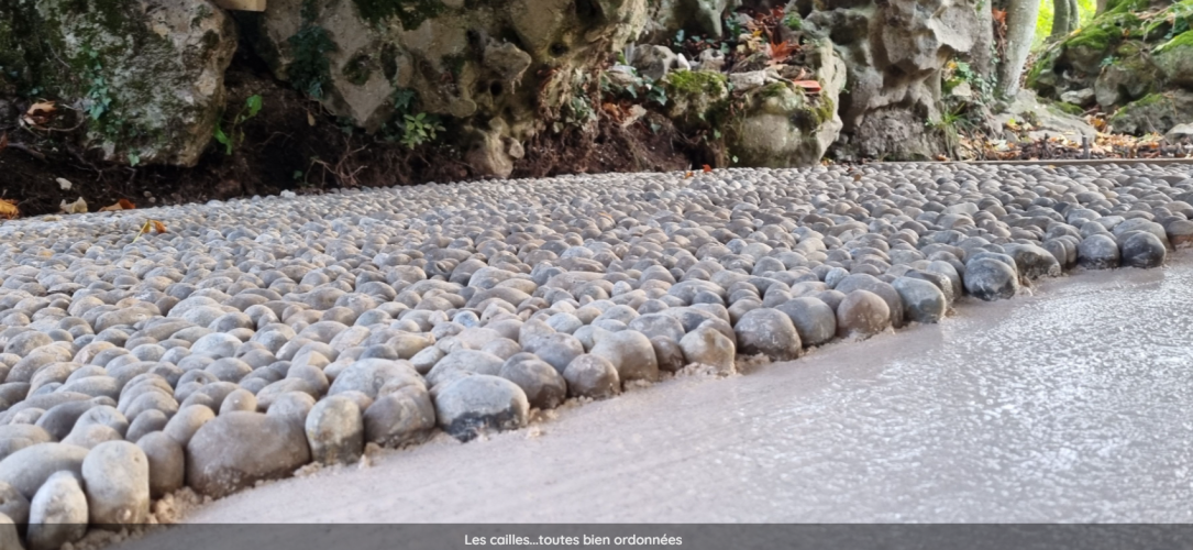 ordonnancement des cailles