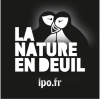 "Le mieux à faire est de ne rien faire !"