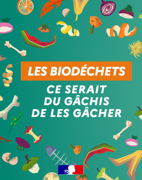 Le tri des biodéchets : une nouvelle ressource pour la transition écologique