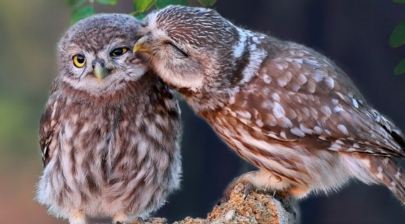 Vos Rendez-vous Nature Hiver 2026 vous attendent !