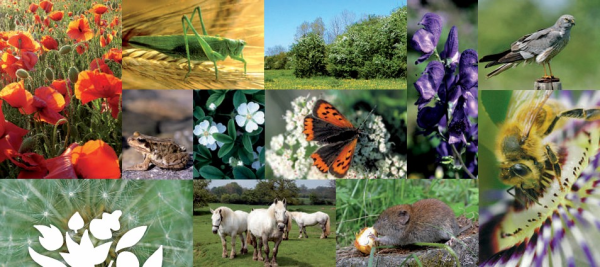 1976–2026 : retour sur la loi de protection de la nature" - Webinaire